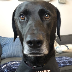 Fundraising Page: Sarah Edwards